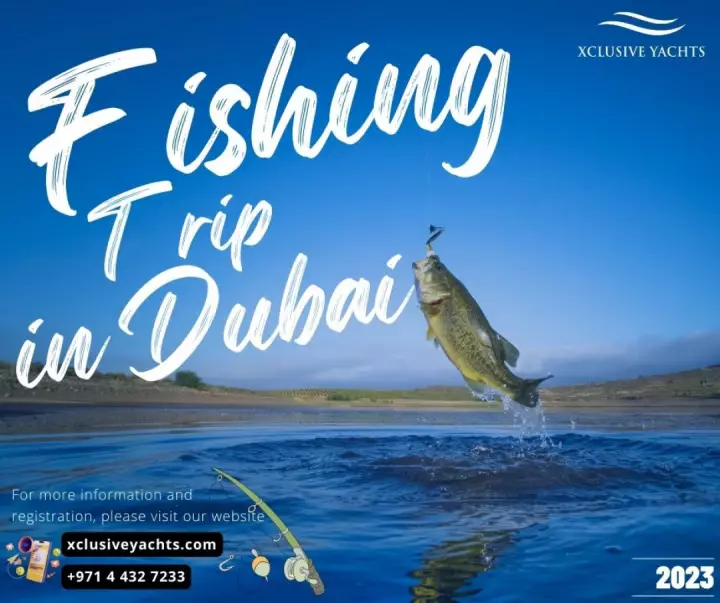 Fishing Gear: All You Need to Know - Deep Sea Fishing Trip Dubai